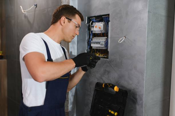 Best Local Electrician Companies  in Leadville, CO