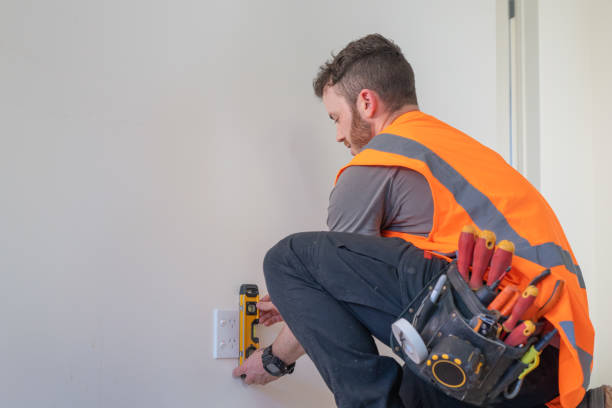 Best Electric Panel Repair  in Leadville, CO